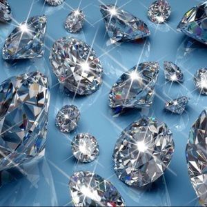 Meet your Posher, Terisha